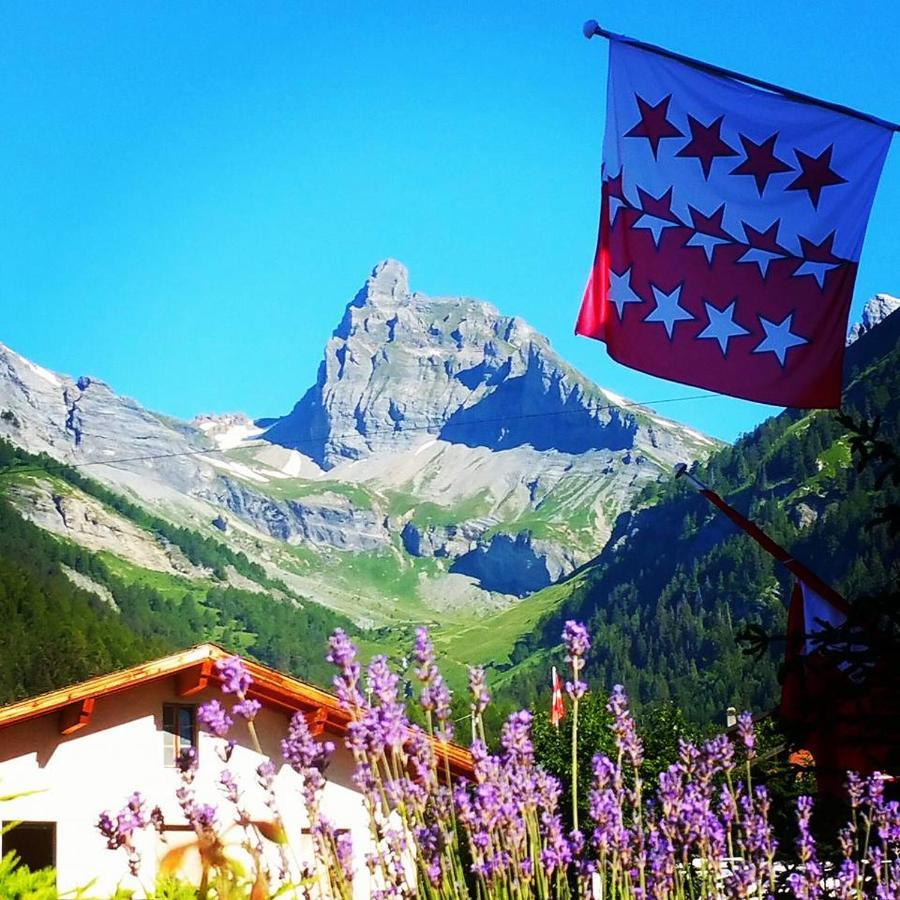 Le Vieux Valais Lejlighedshotel Ovronnaz Eksteriør billede